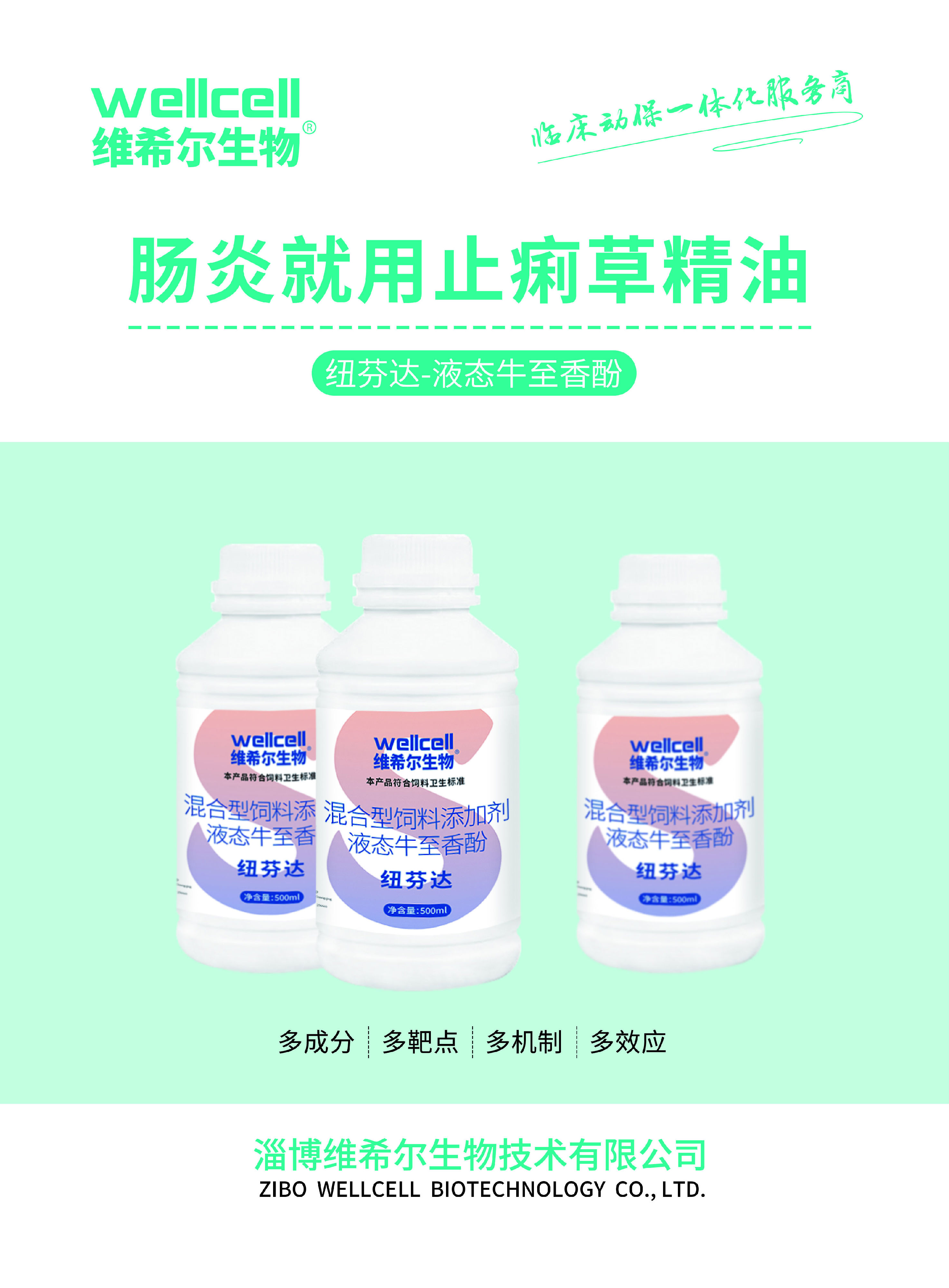 纽芬达1.jpg