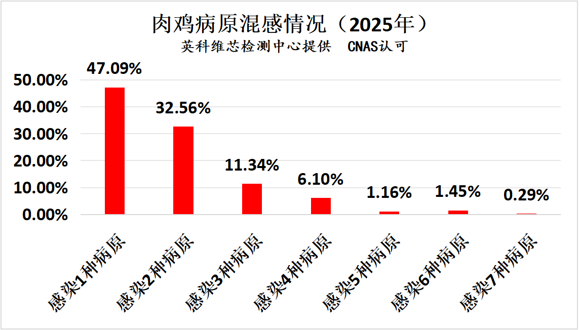 2025年肉鸡常发疾病核酸检测情况汇总分析1.png
